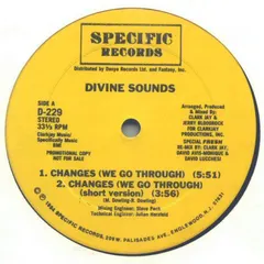 Divine Sounds – Changes / Do Or Die Bed Sty (Remix) (Vinyl, 12")