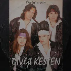 Divlji Kesten – Divlji U Srcu (Vinyl, LP)