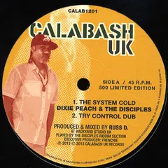 Dixie Peach & The Disciples (2) – The System Cold (Vinyl, 12")
