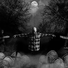 DJ Swet (2) – Agoraphobia (CD, Album)