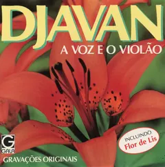 Djavan – A Voz E O Violão (CD, Album)