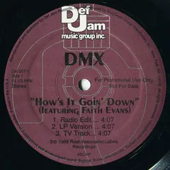 DMX Def Jam Music Group Inc. – How's It Goin' Down (Vinyl, 12")
