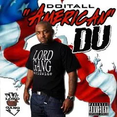 DoItAll – American DU (CD, Album)