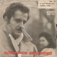 Domenico Modugno – La Notte Del Mio Amore (Vinyl, 7")