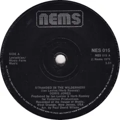 Doris Jones – Stranded In The Wilderness (Vinyl, 7")