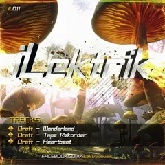 Draft (10) – Wonderland (File, MP3)