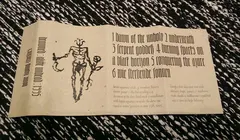 Drowned (2) – Alive Undead : 1995 (Cassette)