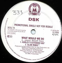 DSK Boy's Own Productions – What Would We Do (Vinyl, 12")