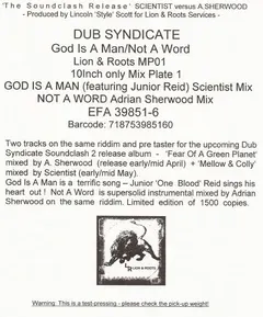 Dub Syndicate – God Is A Man (Vinyl, 10")