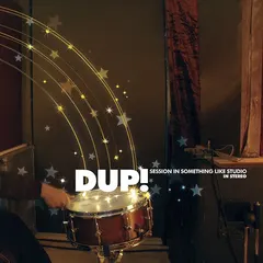 Dup! – Session In Something Like Studio (Vinyl, LP)