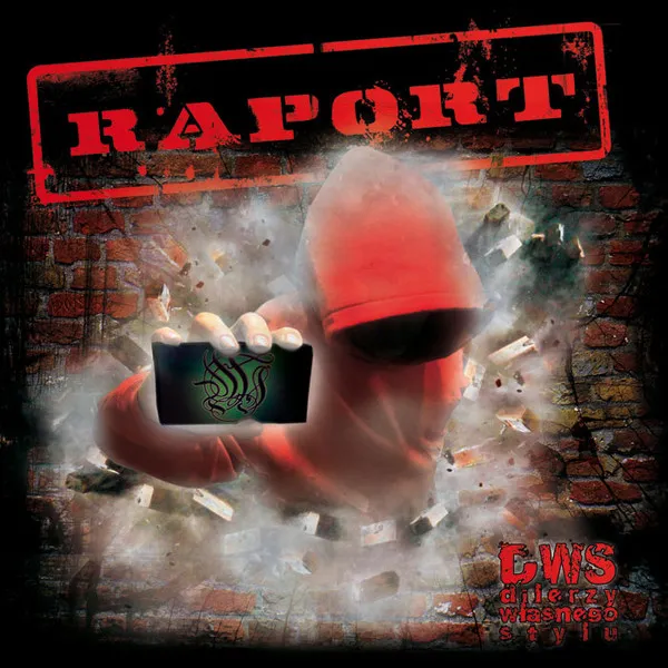 DWS (2) – Raport