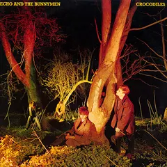 Echo And The Bunnymen* Sire – Crocodiles (Vinyl, LP)
