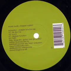 Echopilot – Deeper Function EP (Vinyl, 12")