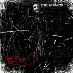 echs Incognito – The Show (CD, Album)