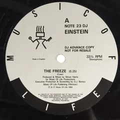 Einstein (2) Music Of Life – The Freeze (Vinyl, 12")