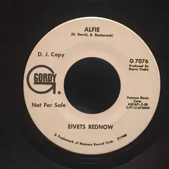 Eivets Rednow* – Alfie (Vinyl, 7")