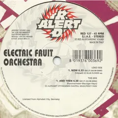 Electric Fruit Orchestra – Now (Vinyl, 12")