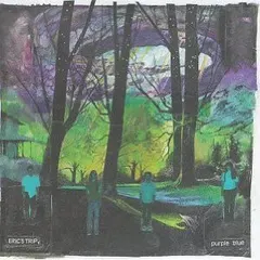 Eric's Trip – Purple Blue (Vinyl, LP)