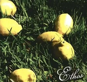 Ethos (9) – Ethos