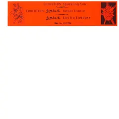 Evolution (2) / S.M.I.L.E. – Sparkling Sun / Ritual Trance / Electro Eierbass (Vinyl, 12")