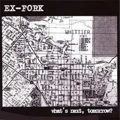 Ex-Fork – What's Next, Tomorrow? (Vinyl, LP)