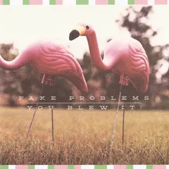 Fake Problems / You Blew It! – Florida Doesn't Suck (Vinyl, 7")