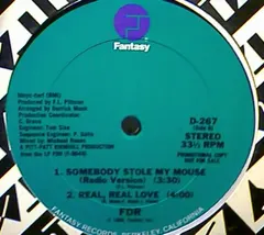 FDR (2) – Somebody Stole My Mouse (Vinyl, 12")