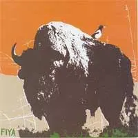 Fiya (2) – Make Joy, Make Strength (Vinyl, LP)