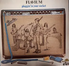 Flavium – Pluggin' In Your Socket (Vinyl, LP)