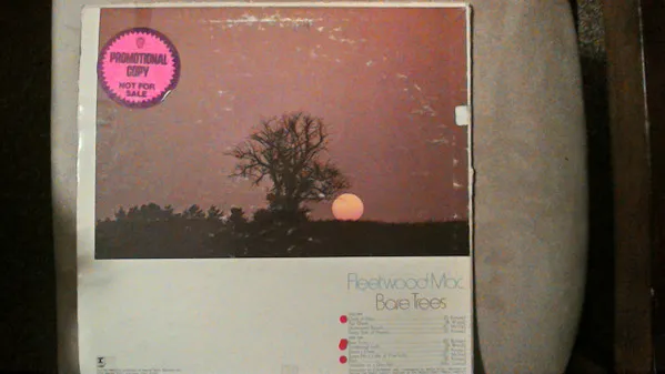 Fleetwood Mac – Bare Trees