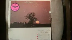 Fleetwood Mac Reprise Records – Bare Trees (Vinyl, LP)