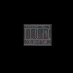 Fluke – Thumper & Cool Hand Flute (Vinyl, 12")