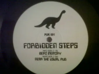 Forbidden Steps – Zero Memory / Near The Usual Pub