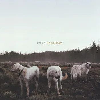 Foxing – The Albatross