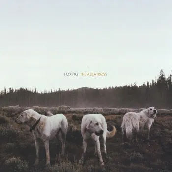 Foxing – The Albatross