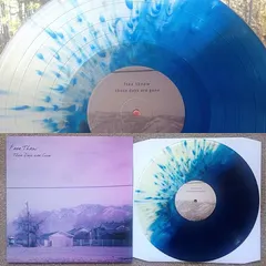 Free Throw – Those Days Are Gone (Vinyl, LP)