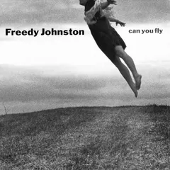 Freedy Johnston – Can You Fly (Vinyl, LP)
