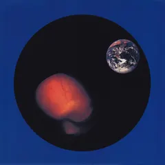 From Within – From Within 2 (CD, Album)