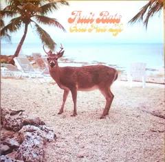 Fruit Bats – Gold Past Life (CD, Album)