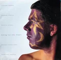 Future Ancestors – Going For The Magic (Vinyl, LP)