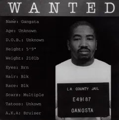Gangsta (2) – Wanted (CD, Album)