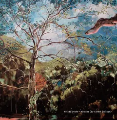 Gareth Dickson – Nicked Drake - Wraiths (CD, Album)