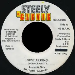 Garnett Silk – Skylarking (Vinyl, 7")