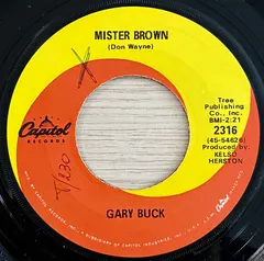Gary Buck (2) – Mister Brown (Vinyl, 7")