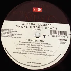 General Degree – Spark Plug/Snake Under Grass (Vinyl, 12")