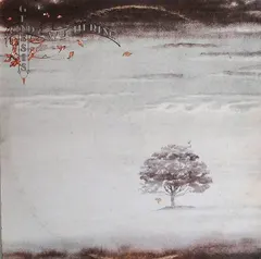 Genesis Charisma – Wind & Wuthering (Vinyl, LP)