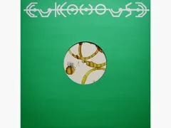 Get Fucked – Things To Do (Vinyl, 12")