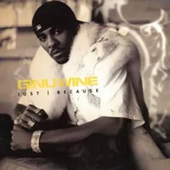Ginuwine – Just Because (CD, Single)
