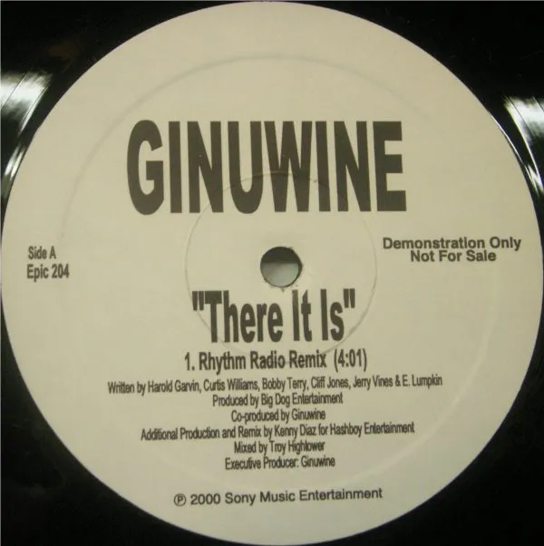 Ginuwine – There It Is
