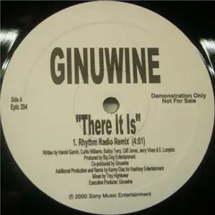 Ginuwine – There It Is (Vinyl, 12")